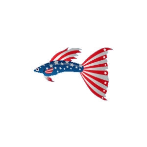 American Guppy